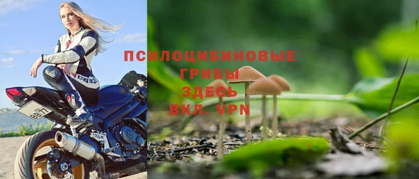 соль курить ск Надым