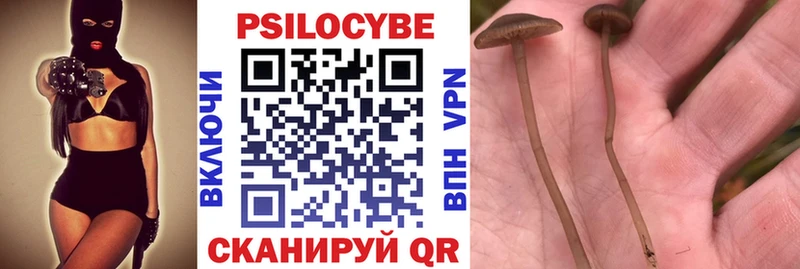 что такое наркотик Власиха Галлюциногенные грибы Psilocybe